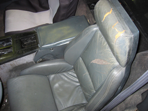 Part 5 - Rip�n Roll Interior