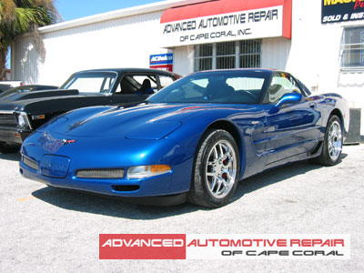 Client Gallery Royal Blue Corvette